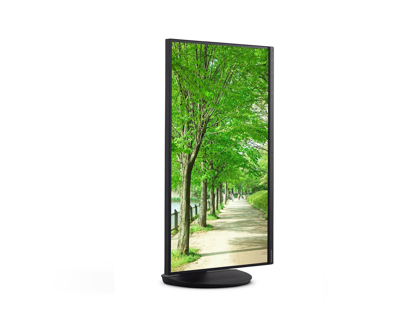 Sharp EA272U monitor 27", 4K UHD, LAN, USB-C, 24/7