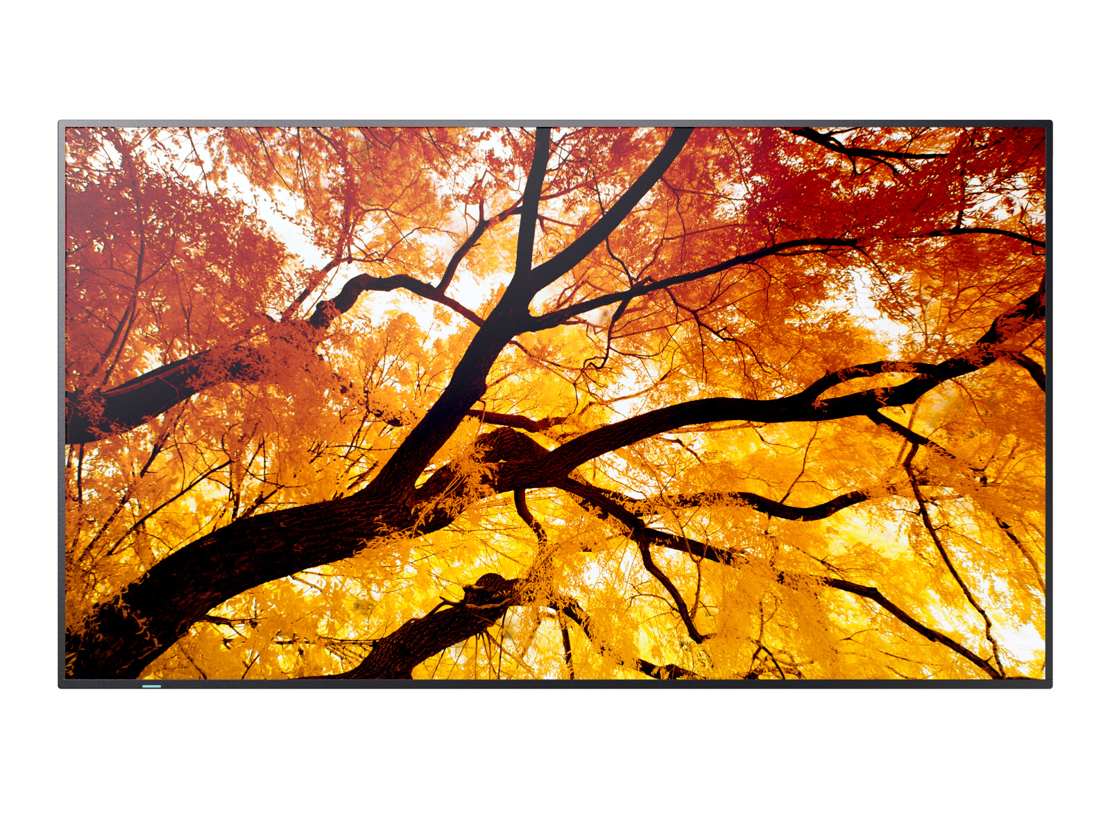 Sharp M652 infoekraan 65", 4K UHD, 24/7