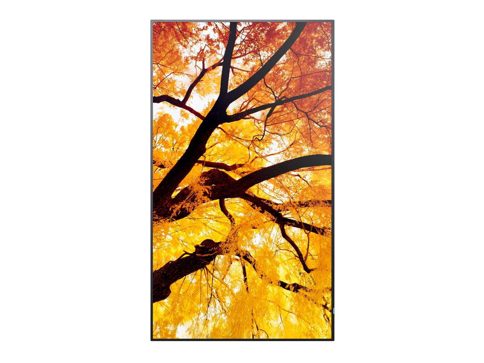 Sharp M652 infoekraan 65", 4K UHD, 24/7